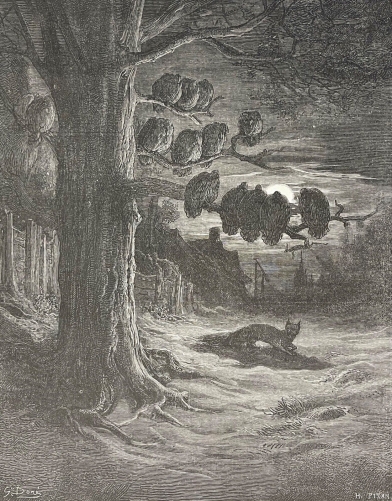 le_renard_et_les_poulets_dinde_la_fontaine_1868_xylographie_dindon_france