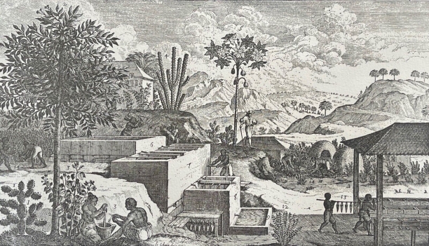 esclave_afrique_commerce_triangulaire_antilles_1667_indigo_retirage_vers_1930