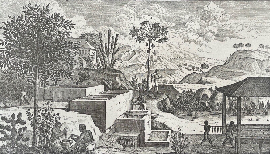 esclave_afrique_commerce_triangulaire_antilles_1667_indigo_retirage_vers_1930
