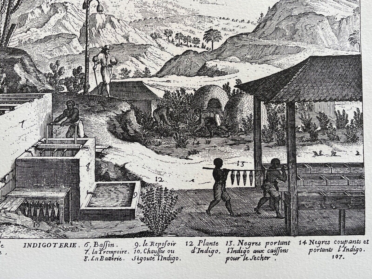 esclave_afrique_commerce_triangulaire_antilles_1667_indigo_retirage_vers_1930