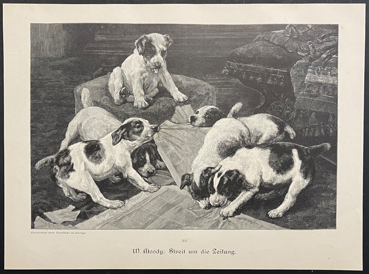 chien_differend_concernant_le_journal_1880_par_fannie_moody_1861-1948_chiot
