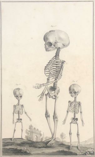 foetus_de_8_mois_de_5_mois_de_4_mois_1759_dapres_tarsis_osteologie_medecine