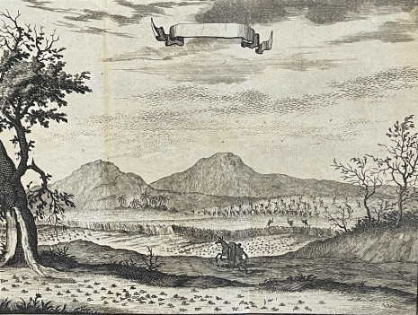 mexique_invasion_de_sauterelles_amerique_1695_par_aveline_1756-1622_sauterelle
