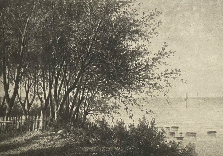 ecole_de_barbizon_pantotypie_thiel_aine_dun_fusain_smith_collection_19_1877