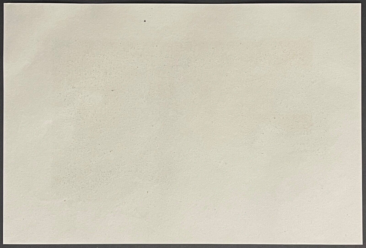 constantinople_istanbul_da_bir_sokak_gravure_de_lepetit_1838_turquie
