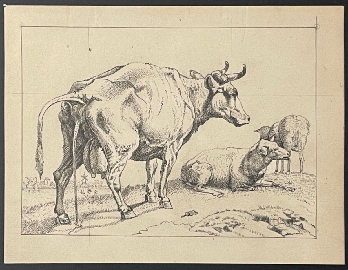 vache_qui_pisse_encre_hottot_alphonse_saint-ange_1825-c1906_apres_paulus_potter