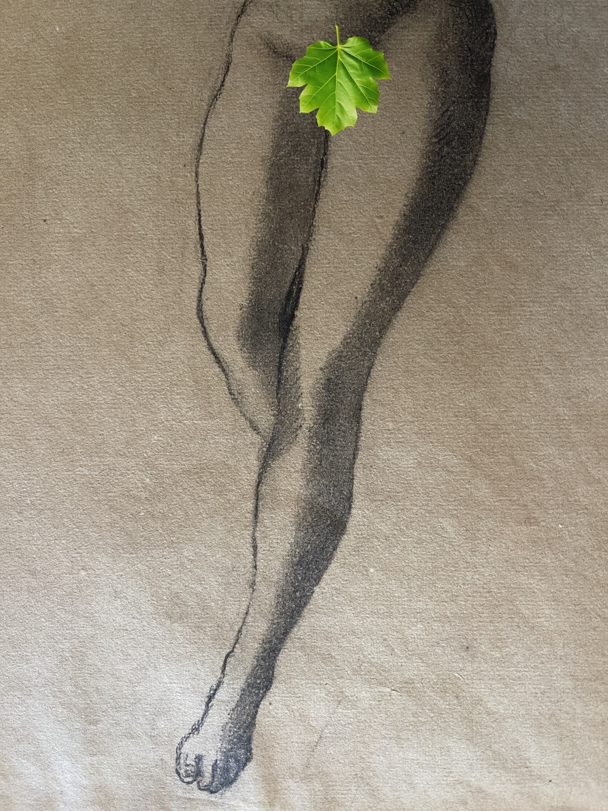 nu_feminin_xixe_anonyme_vers_1850_papier_verge_filigrane_pl_bas
