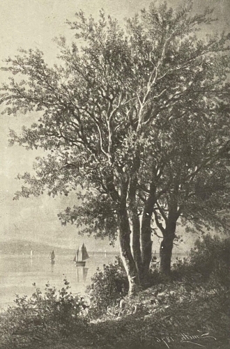 ecole_de_barbizon_pantotypie_thiel_aine_dun_fusain_smith_collection_38_1877