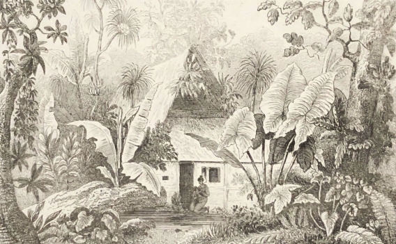 vue_de_lile_ualan_carolines_micronesia_palaos_1836_xix_oceanie