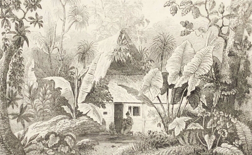 vue_de_lile_ualan_carolines_micronesia_palaos_1836_xix_oceanie