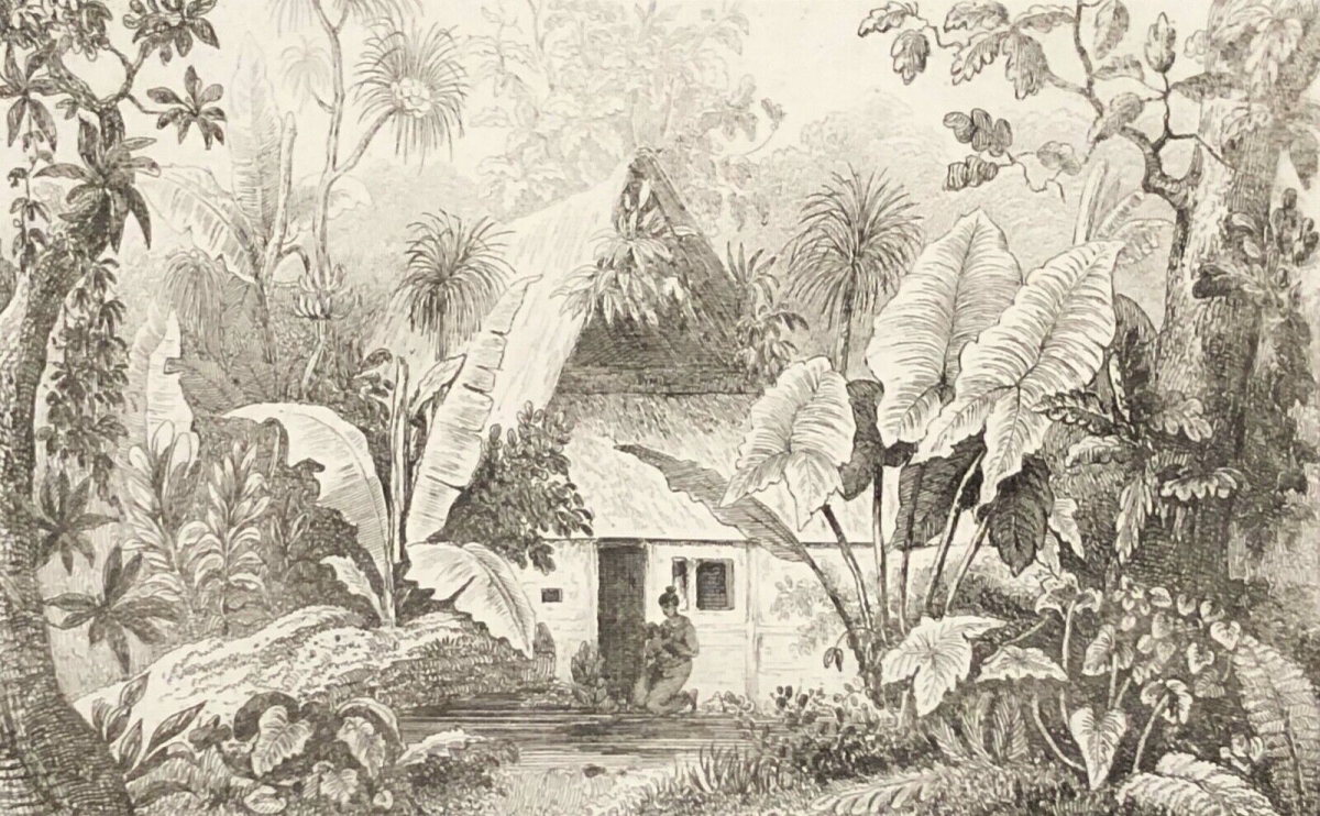 vue_de_lile_ualan_carolines_micronesia_palaos_1836_xix_oceanie