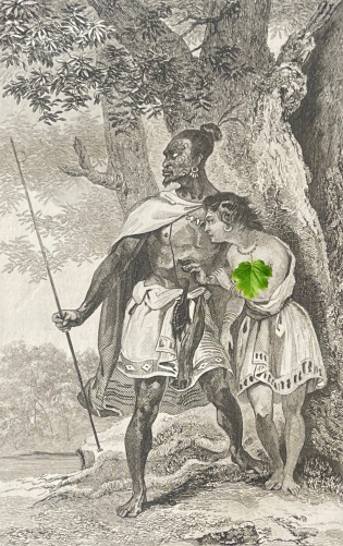 nouvelle-zelande_costume_dun_chef_gravure_vers_1830_xix_new_zealand_oceanie