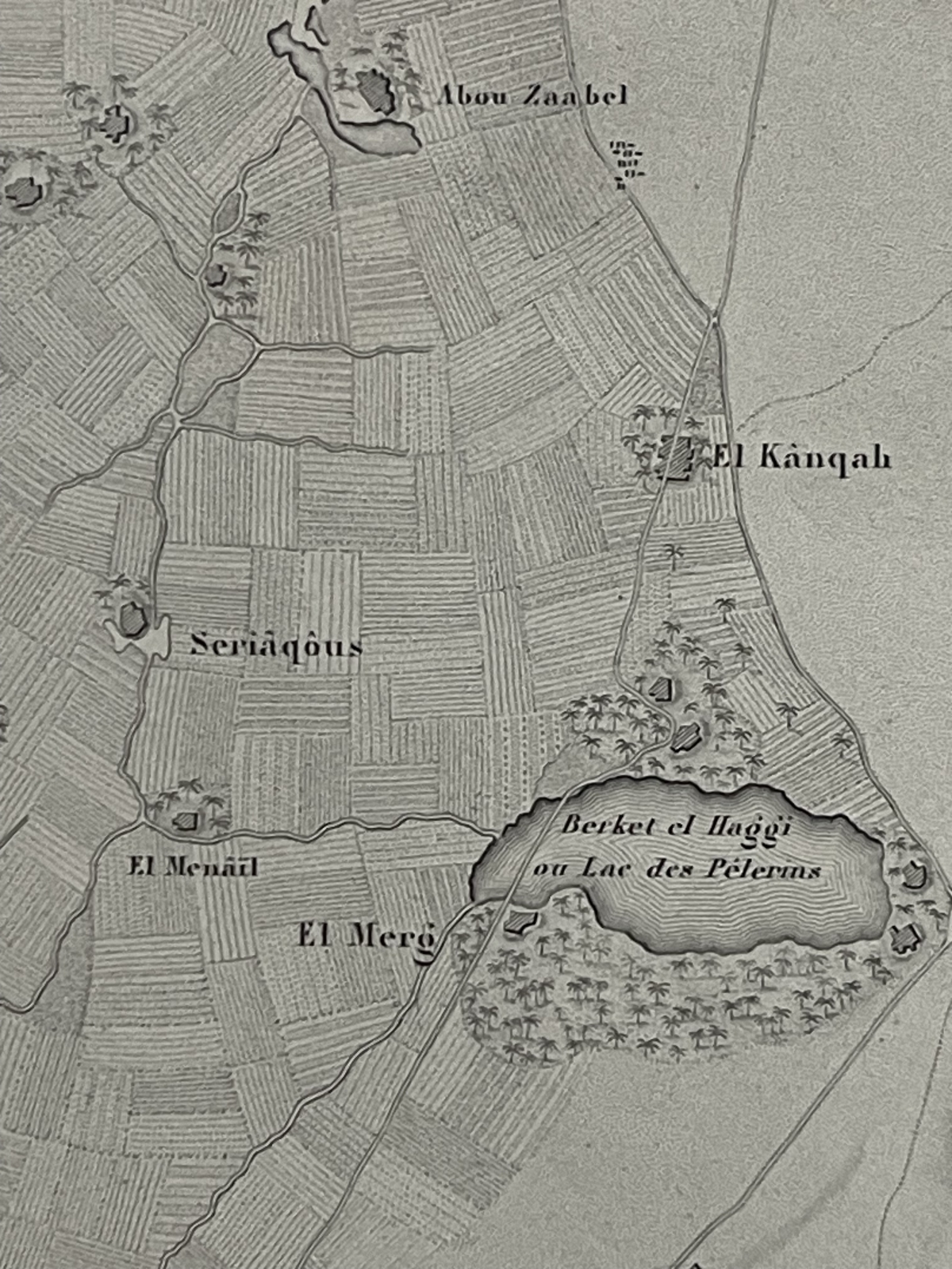 egypte_plan_plaine_heliopolis_en_1800_bataille_general_kleber_gravure_1848
