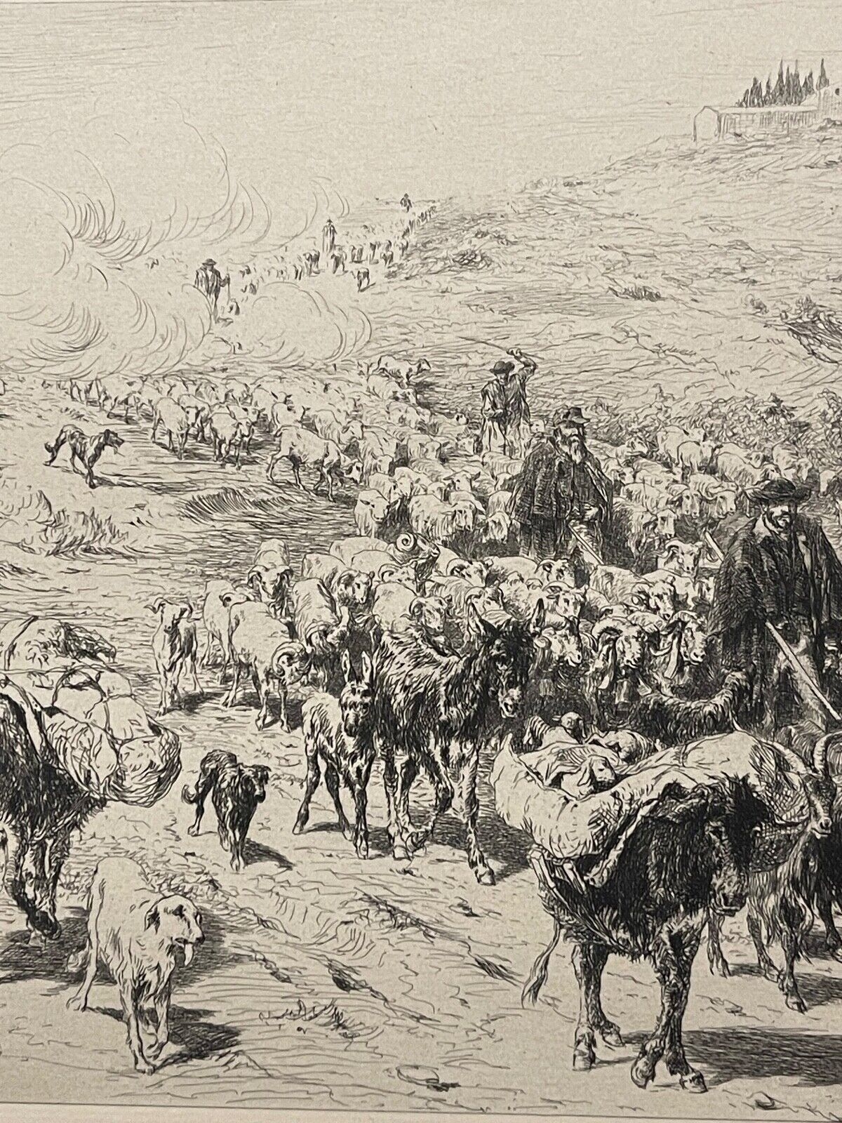 la_descente_des_troupeaux_provence_xixe_pointe_seche_burnand_1884_france