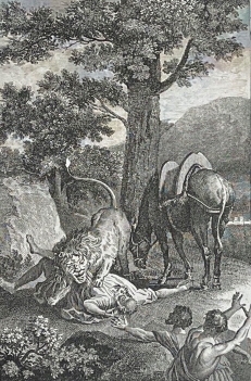 le_prophete_tue_par_un_lion_gravure_de_1835_france