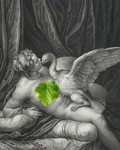 paul_veronese_1528-1588_jupiter_et_leda_graveur_de_saint-aubin_1736-1807_1790