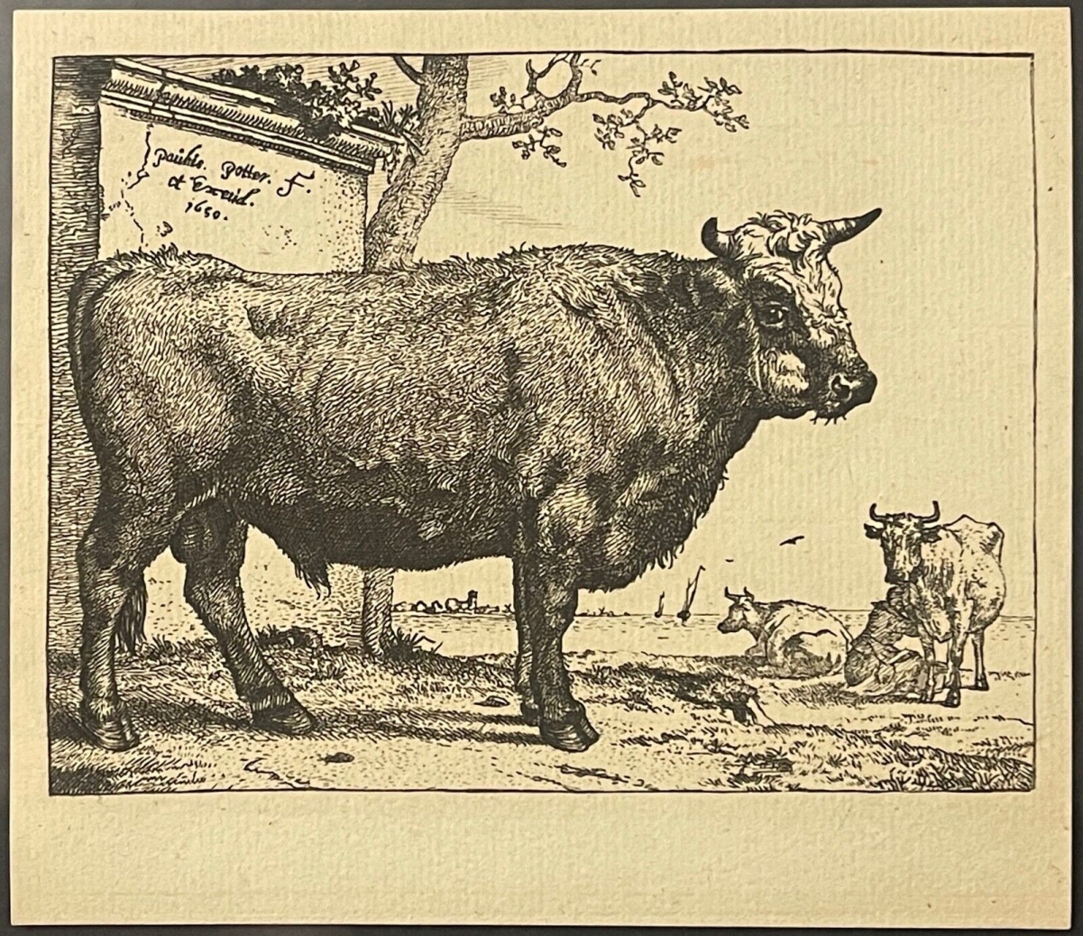 paulus_potter_1625_1654_vache_au_paturage_1650_amand_durand_xix