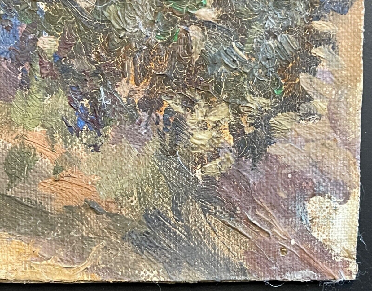 tunisie_montagne_de_latlas_peinture_sur_toile_marouflee_xix_debut_xxe
