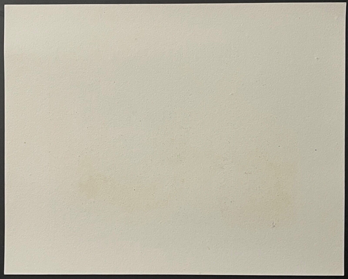 combat_de_rippach_weissenfels_1813_saxe_allemagne_gravure_1836_empire_francais