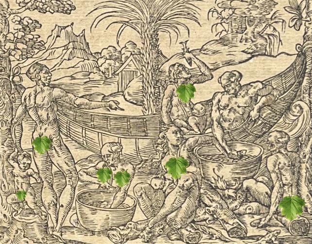 bresil_cannibalisme_gravure_andre_thevet_andre_1575_cannibale