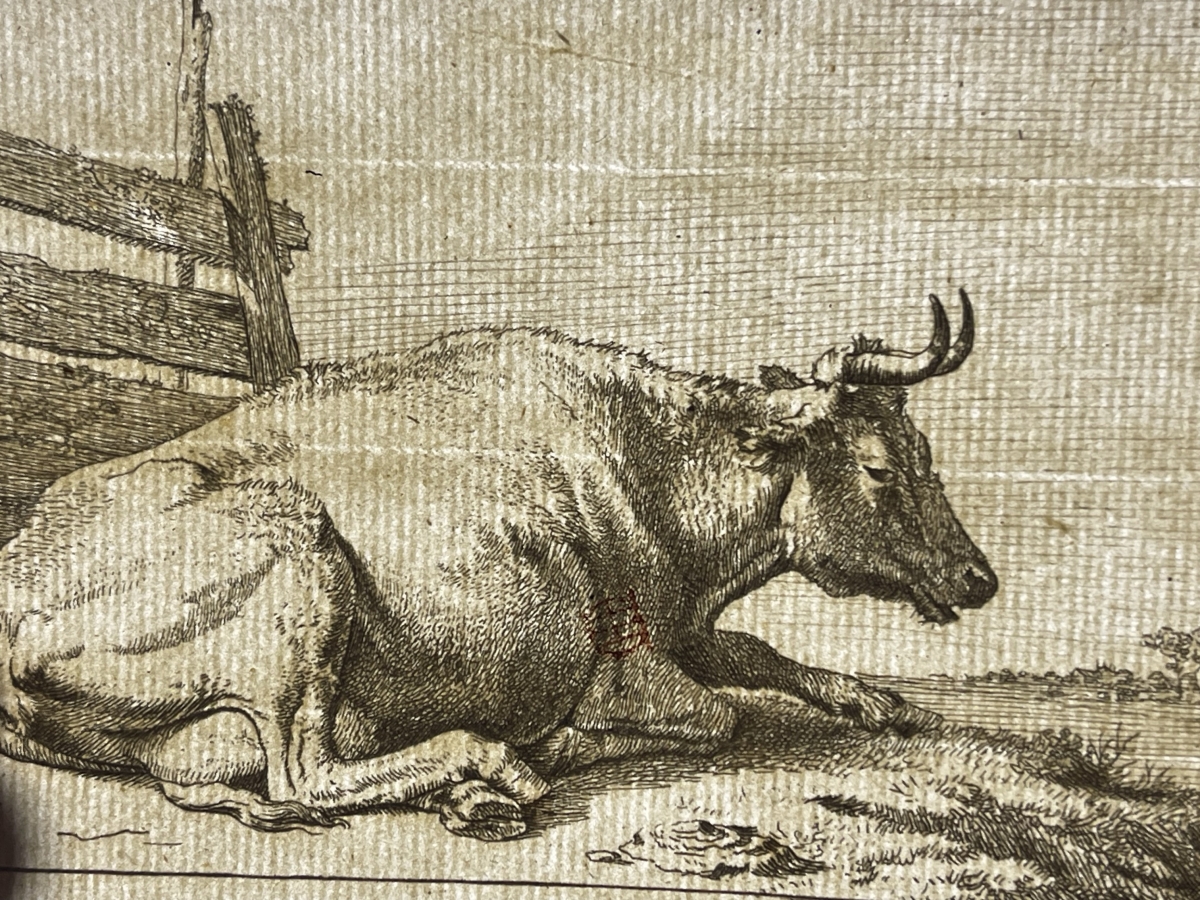 paulus_potter_1625-1654_vache_couchee_1650_amand_durand_c_1880