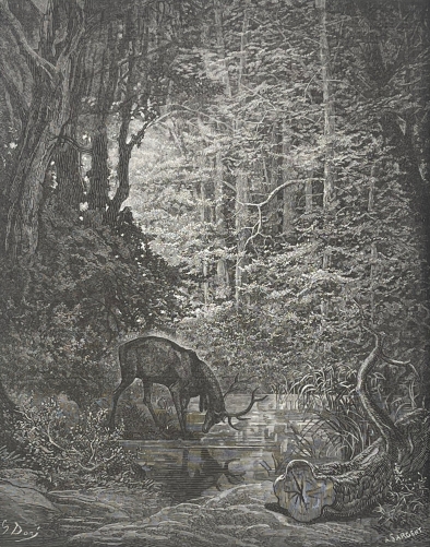 le_cerf_se_voyant_dans_letang_gustave_dore_xylographie_fable_la_fontaine_1868
