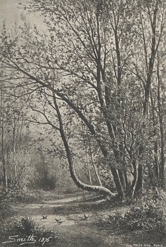 ecole_de_barbizon_pantotypie_thiel_aine_dun_fusain_smith_collection_15_1877