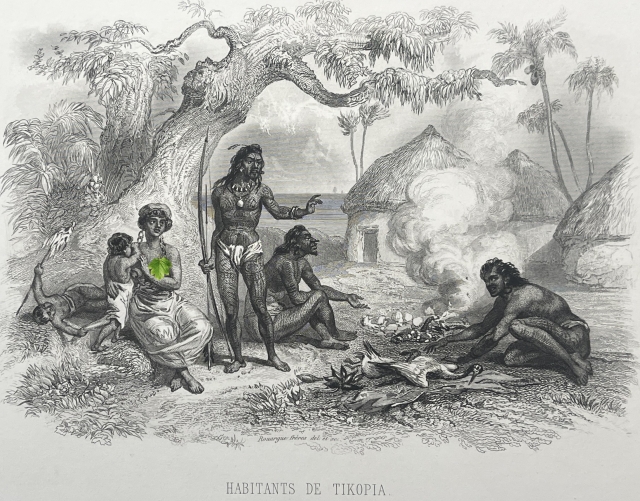 tikopia_temotu_ile_des_salomon_oceanie_gravure_par_rouargue_c_1838