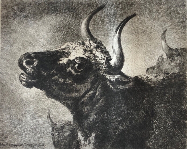 paulus_potter_1625-1654_etude_de_taureau_grave_par_francois_lienard_1877