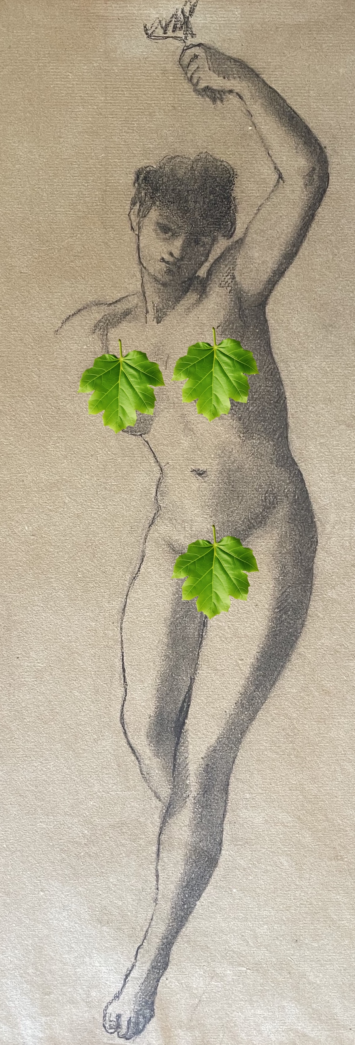 nu_feminin_xixe_anonyme_vers_1850_papier_verge_filigrane_pl_bas