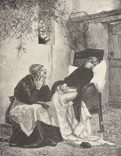 novembre_xylographie_xixe_de_jenoudet_maladie_malade_medecine_medecin