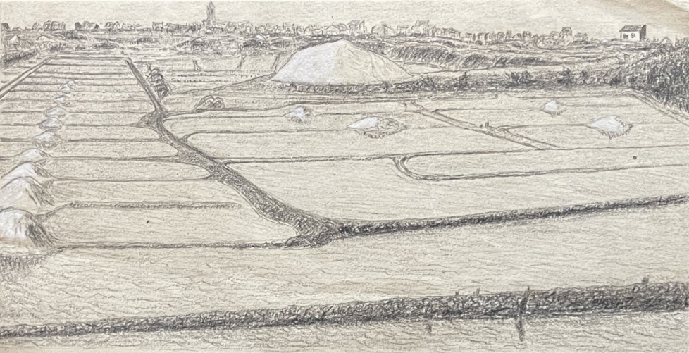 saille_marais_salant_loire-atlantique_dessin_graphite_seconde_moitie_du_xixe