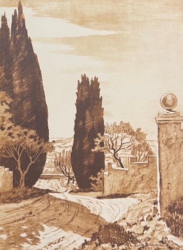route_de_provence_et_cypres_vers_1942_france