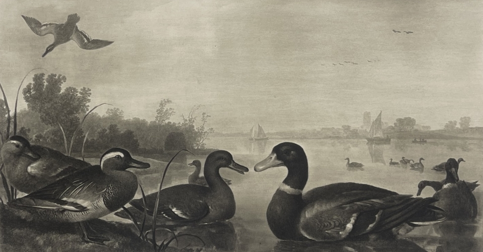 albert_cuyp_1620-1691_canards_et_vue_de_dordrecht_heliogravure_vers_1905