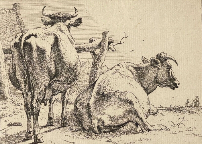 une_vache_debout_et_une_vache_couchee_paulus_potter_1650_amand_durand_xix_c_1880