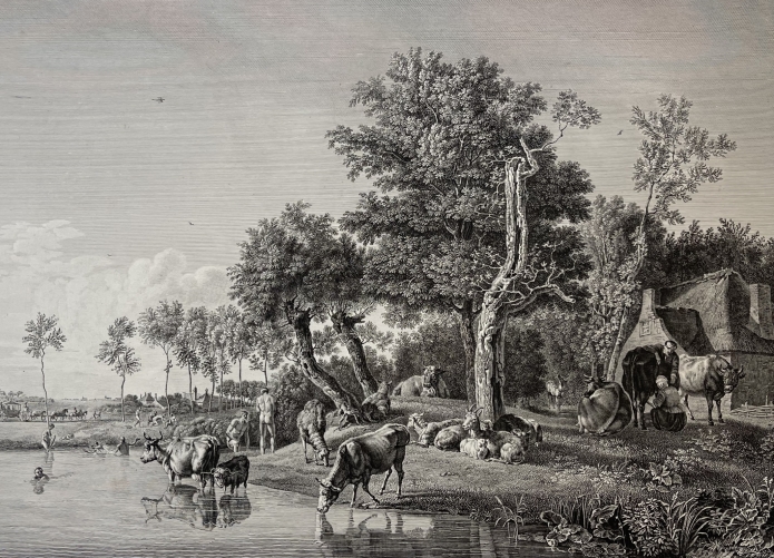 paulus_potter_1625-1654_une_prairie_et_riviere_gravure_au_burin_c_1860_vache