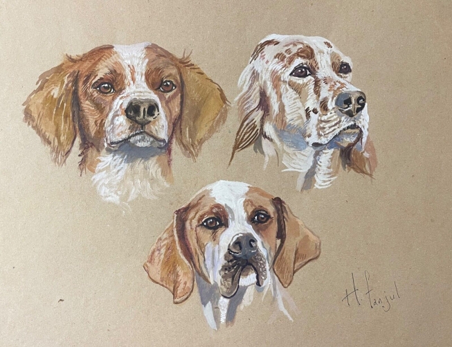 chiens_par_henri_fanjul_xx-xxi_aquarelle_gouachee_veterinaire_chien