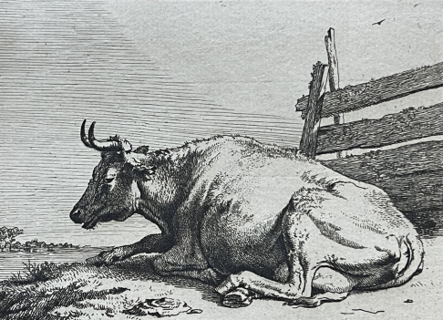 paulus_potter_1625-1654_vache_couchee_1650_amand_durand_c_1880