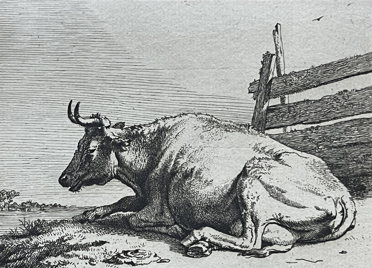 paulus_potter_1625-1654_vache_couchee_1650_amand_durand_c_1880