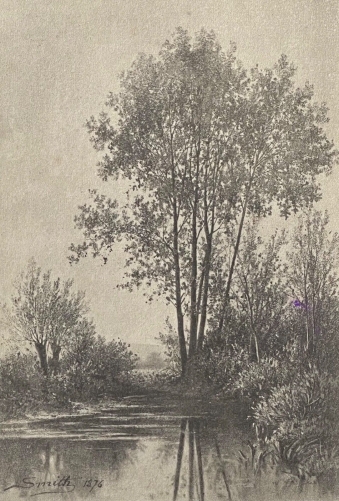 ecole_de_barbizon_pantotypie_thiel_aine_dun_fusain_smith_collection_11_1877