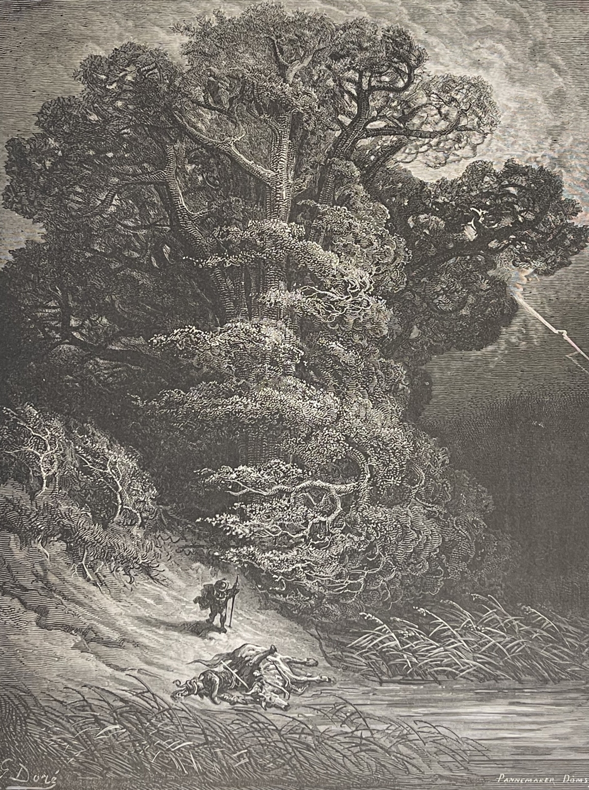 le_chene_et_le_roseau_gustave_dore_xylographie_fable_de_la_fontaine_1865