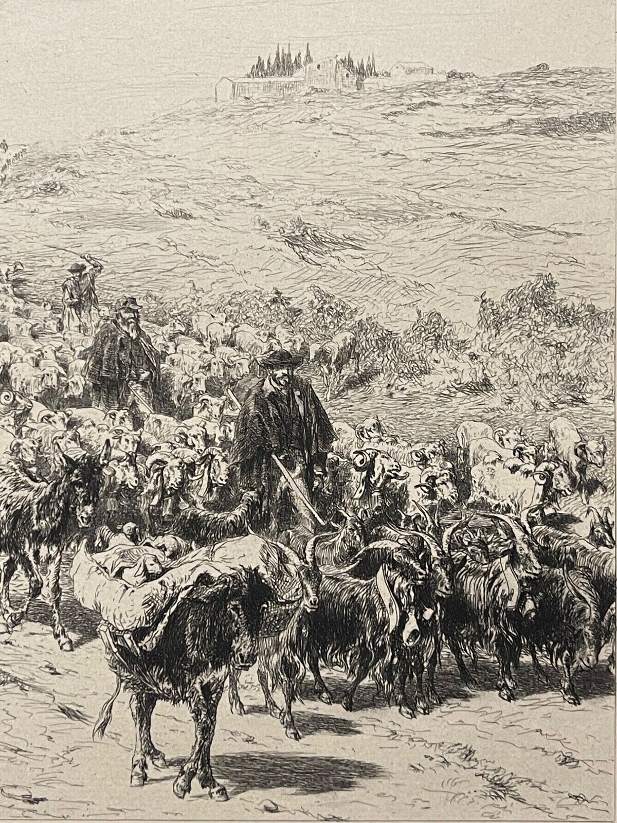 la_descente_des_troupeaux_provence_xixe_pointe_seche_burnand_1884_france