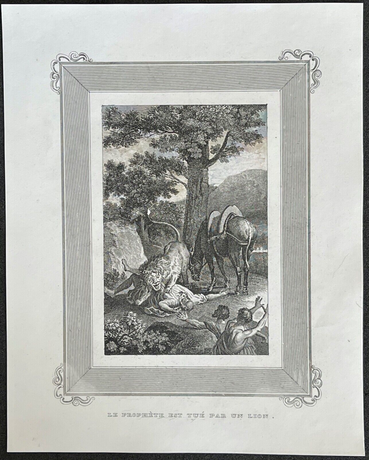 le_prophete_tue_par_un_lion_gravure_de_1835_france