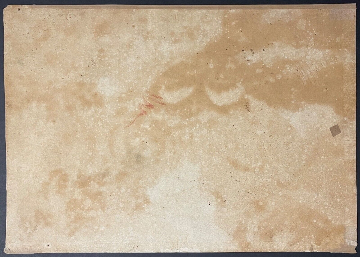 la_gardienne_de_cochons_surprenante_aquarelle_xixe_signee_impressionniste_france