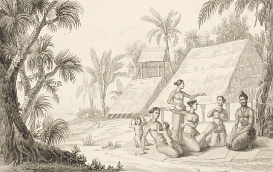 vue_de_lile_radak_carolines_micronesia_palaos_1836_xix_oceanie