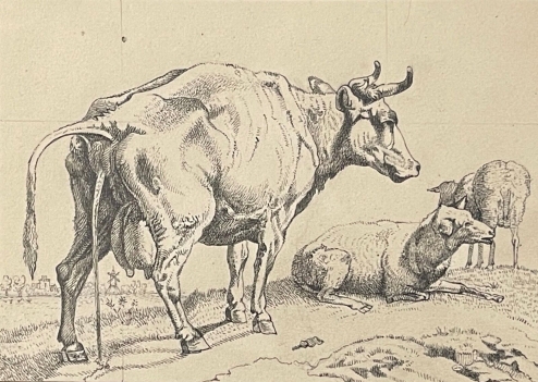 vache_qui_pisse_encre_hottot_alphonse_saint-ange_1825-c1906_apres_paulus_potter