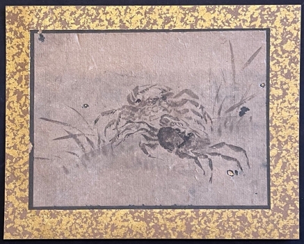 japon_aquarelle_precurseur_entomologie_insecte_tres_ancienne