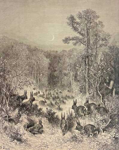les_lapins_d???apres_gustave_dore_xylographie_fable_de_la_fontaine_1868_france