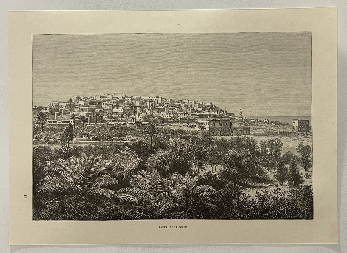 jaffa_tel_aviv_gravure_en_xylographie_vers_1880_israel_palestine