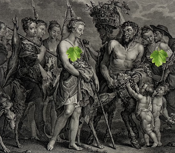 pierre_paul_rubens_venus_revenant_de_la_chasse_graveur_delaunay_1786